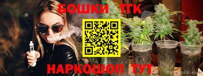 шишки Абакан