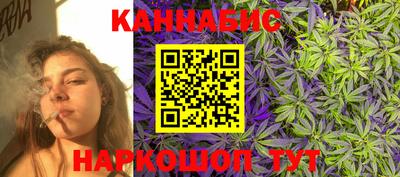 шишки Абакан
