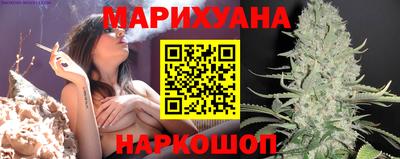 шишки Абакан