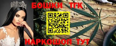 шишки Абакан