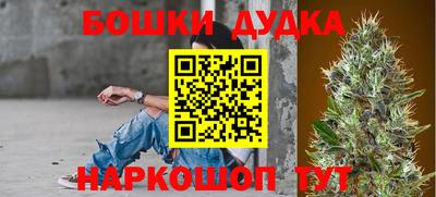 шишки Абакан