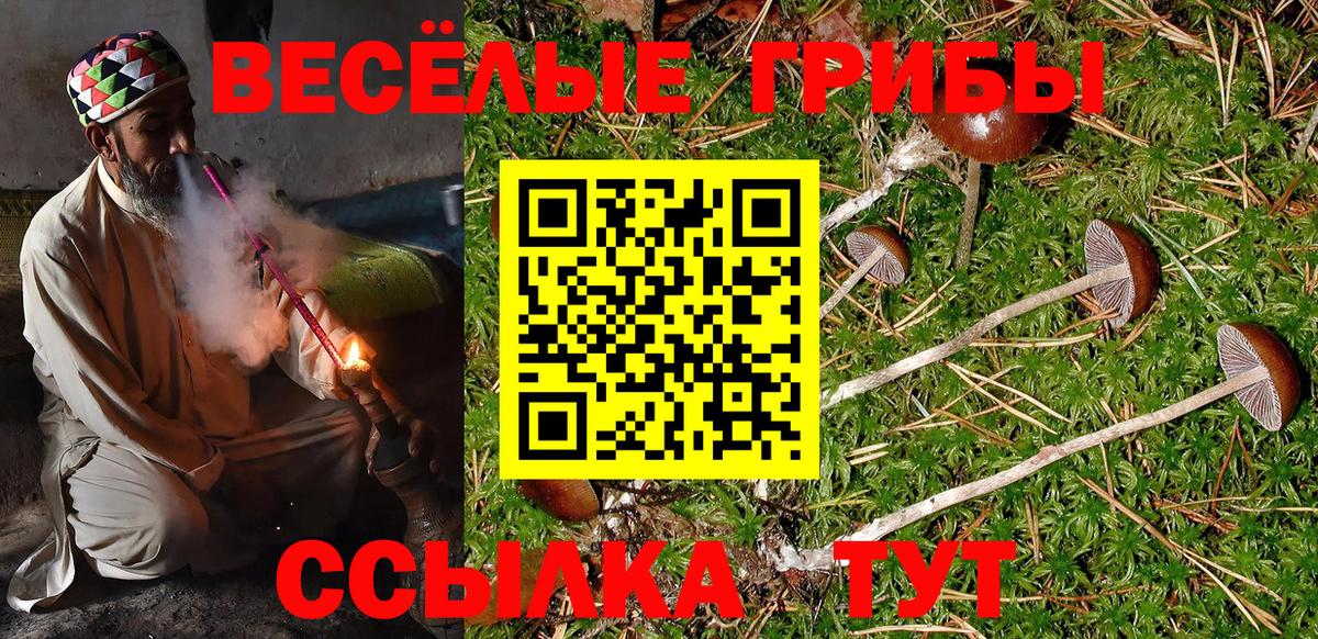Псилоцибиновые грибы MAGIC MUSHROOMS  Псилоцибиновые грибы мухоморы  цена наркотик  Алушта  Вход с VPN 